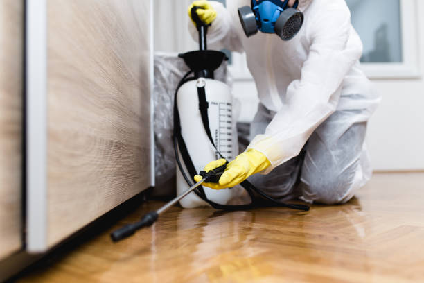 Best Affordable Pest Control Services  in Home Garden, CA