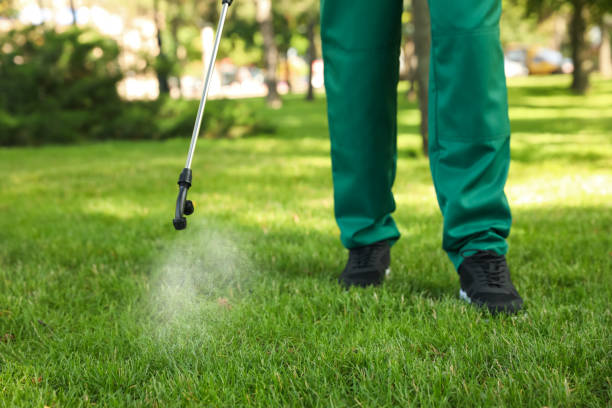 Best Pest Removal Services  in Home Garden, CA
