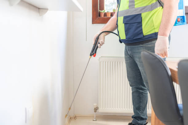 Best Termite Control Services  in Home Garden, CA