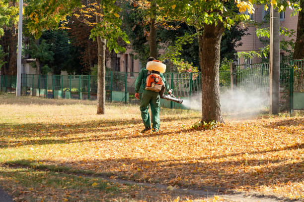 Best Ant Control Services  in Home Garden, CA