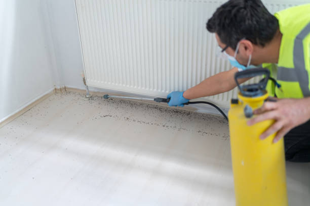 Flea Control Services in Home Garden, CA