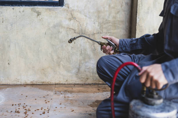 Professional Pest Control in Home Garden, CA