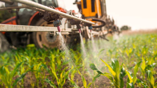 Best Exterminator Services  in Home Garden, CA